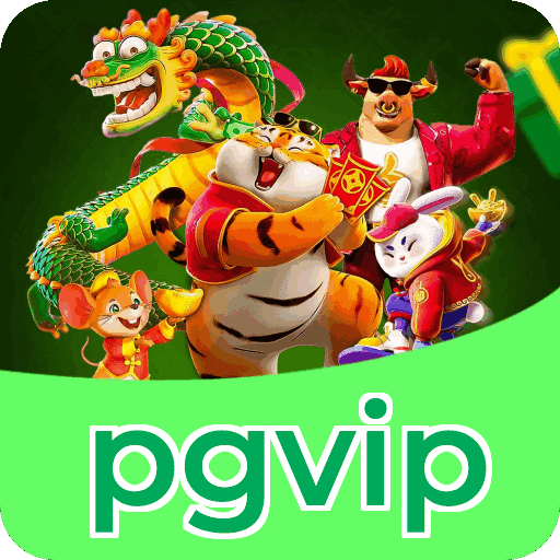 Métodos de pagamento aceitos na pgvip